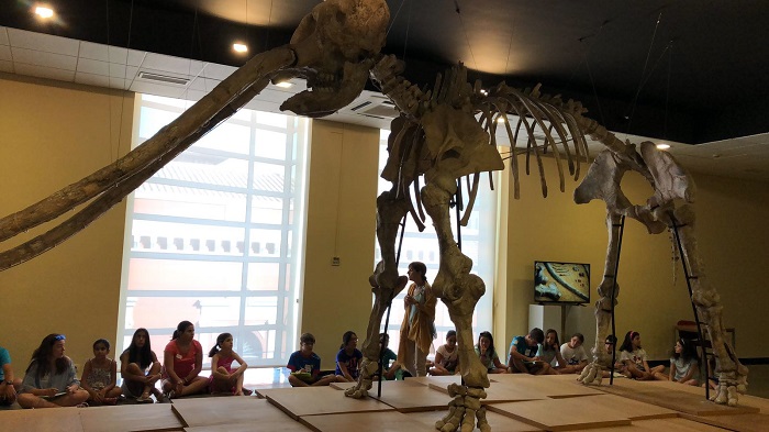 pequeños paleontólogos 