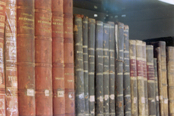 biblioteca salón de actos musquijote12.jpg