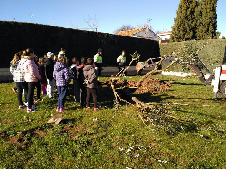 CEIP Alarcos de  Valverde