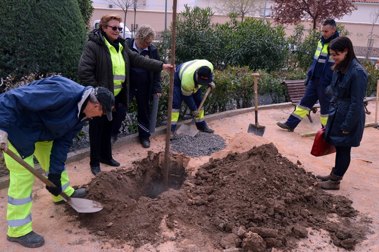 Día Mundial del Árbol