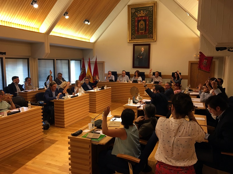 Pleno del Ayuntamiento