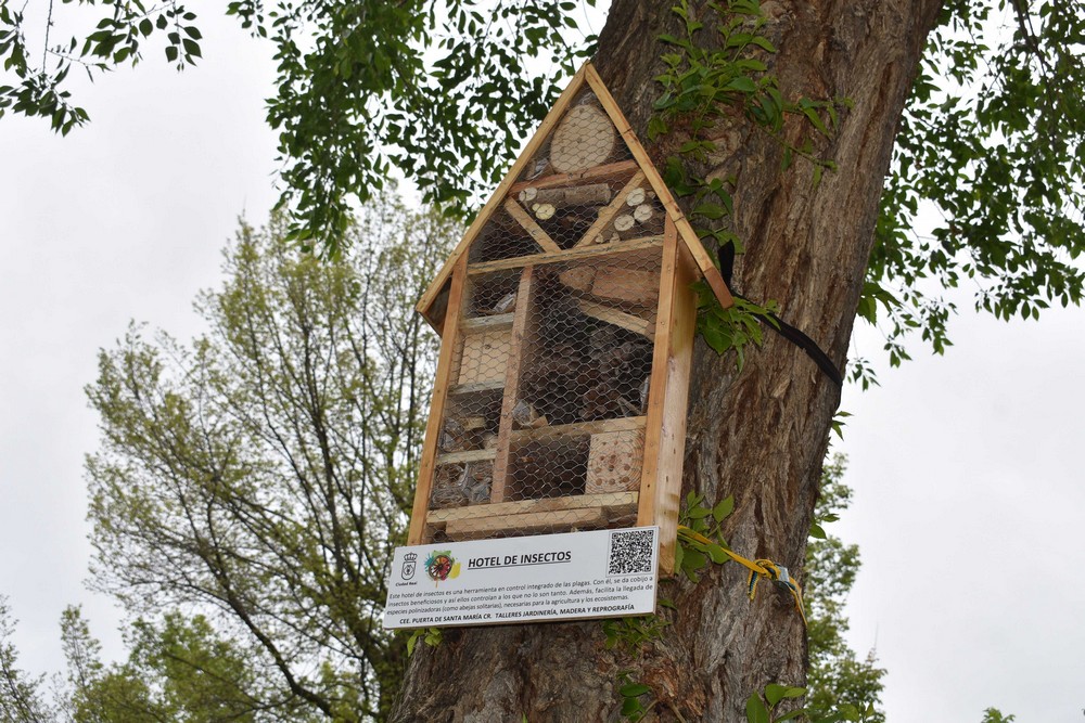 hoteles para insectos