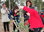 La alcaldesa asiste a una plantación de árboles