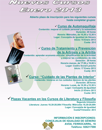 Nuevos cursos Enero 2013