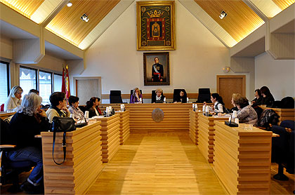 Consejo Local de la Mujer