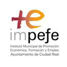 Impefe, Instituto Municipal de Promoción Económica, Formación y Empleo