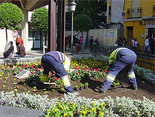 Trabajadores en la Plaza Mayor