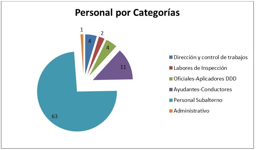 Personal por categorías